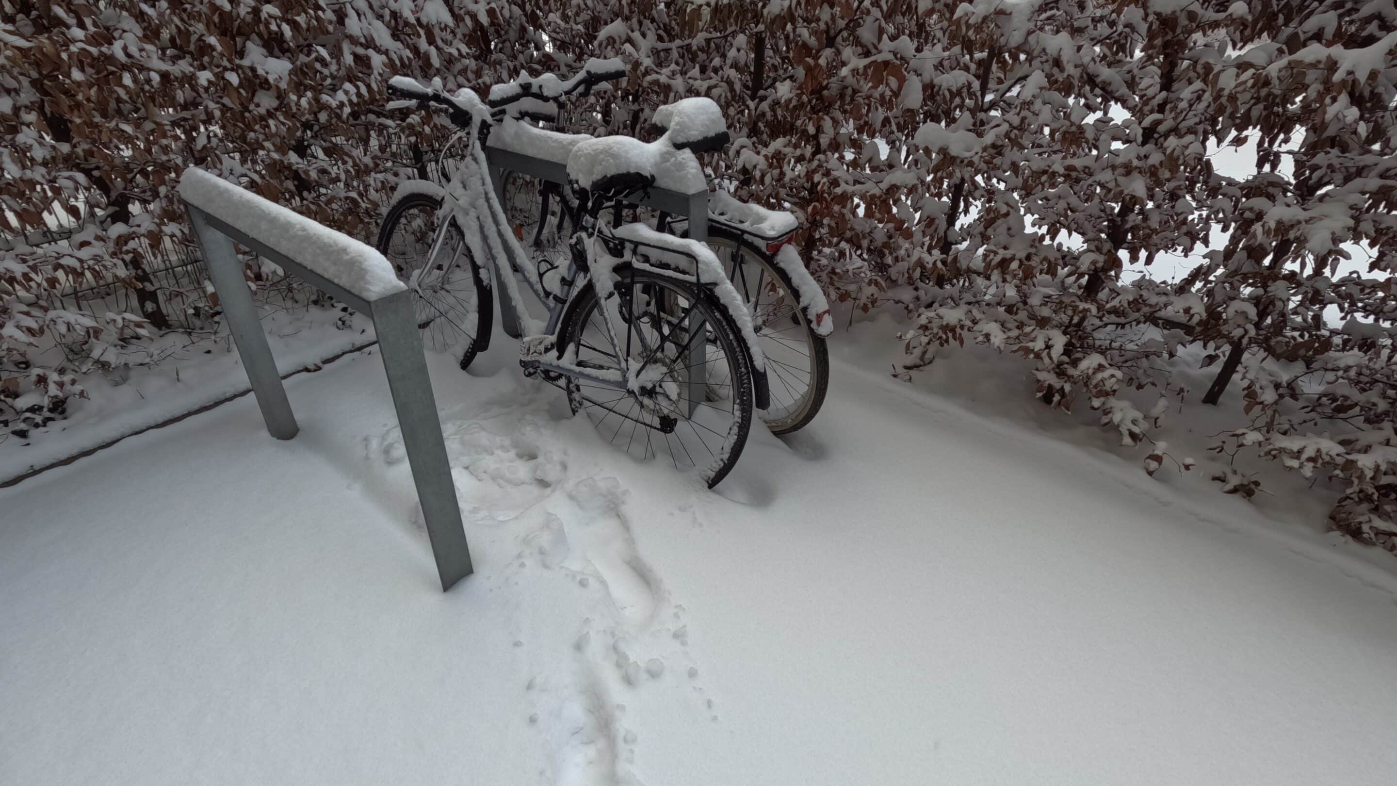 Zugeschneite Fahrraeder in einem Hinterhof scaled_erfurt