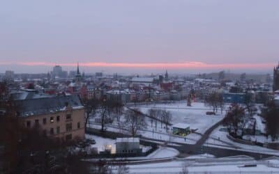 Einbrecher auf frischer Tat gestellt