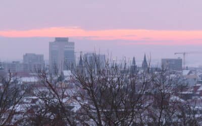 Mehrere Haftbefehle vollstreckt