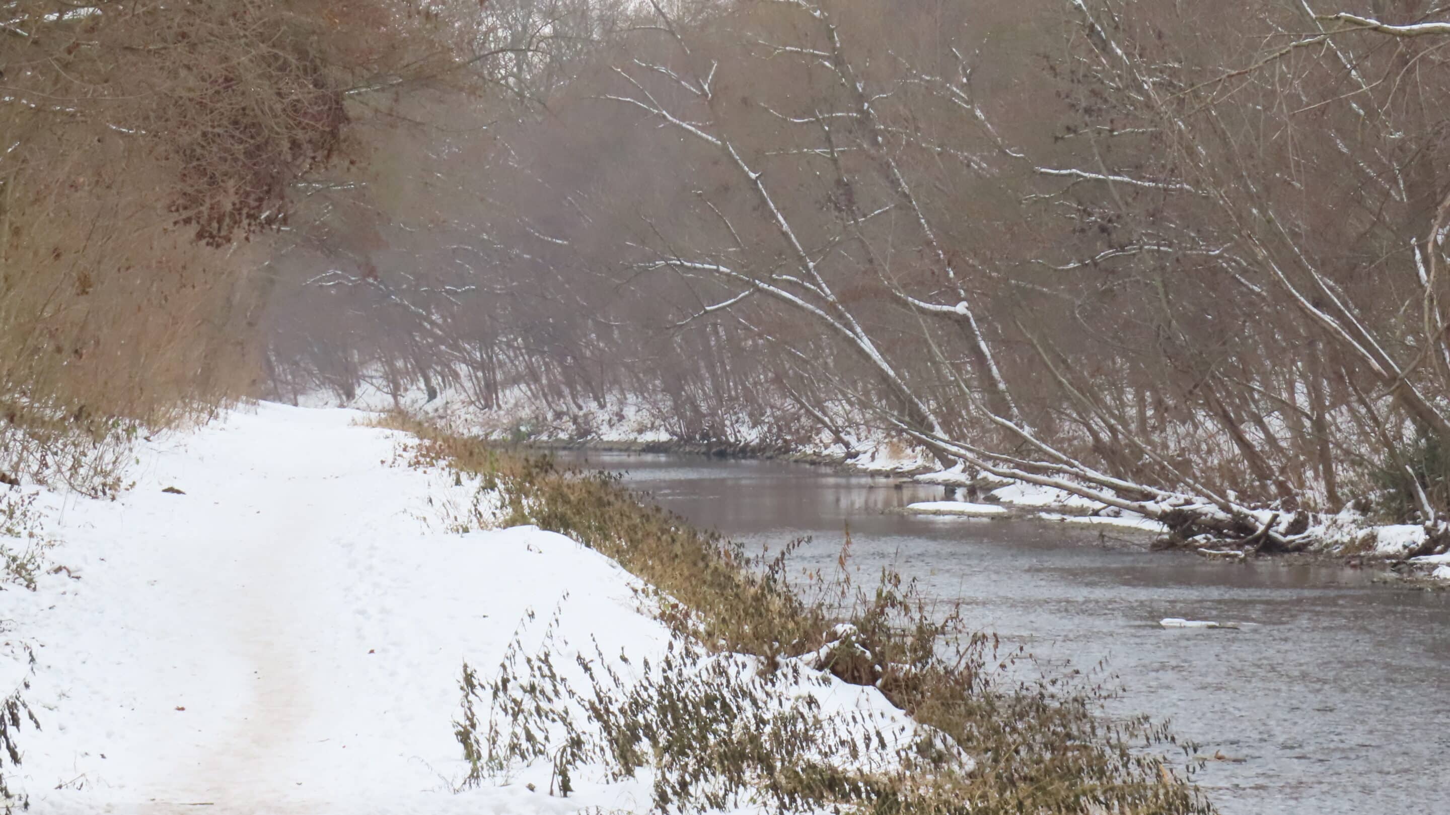 Der Flutkanal Erfurt im Winter an der Stauffenbergallee in der Innenstadt.