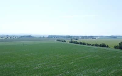 Fahrerin von Straße gedrängt