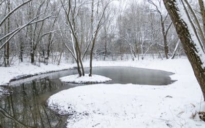 Renaturierung am Roten Berg abgeschlossen