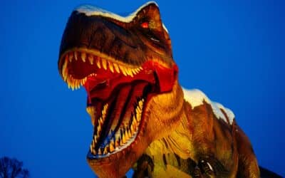 Ausstellung um eine Woche verlängert