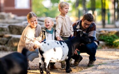 Tierisch gute Ferien im Thüringer Zoopark Erfurt
