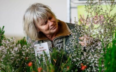 „Schätze unterm Schnee“ locken in den egapark