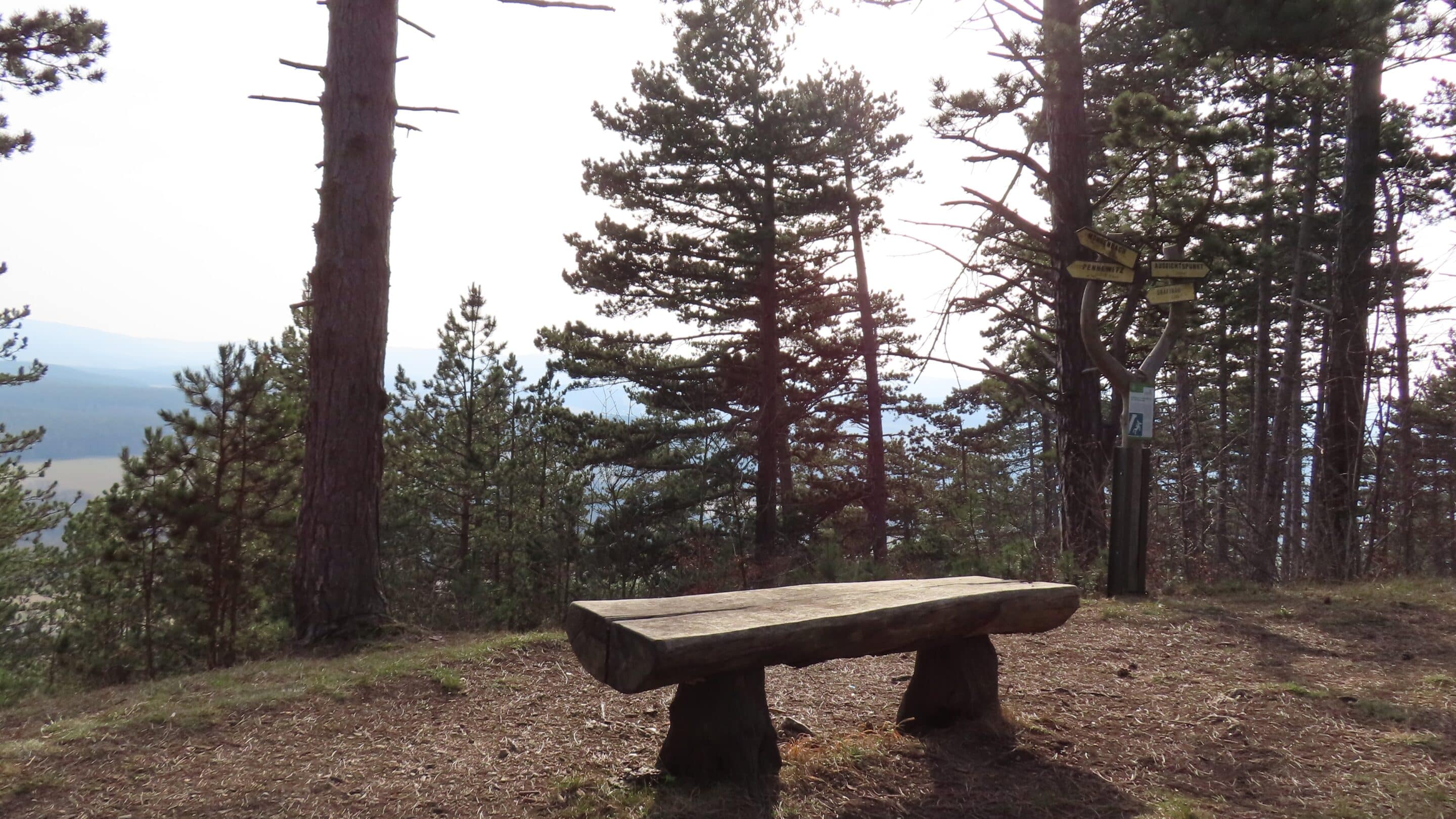Ein Bank auf dem Gipfel des Singer Berg in Thüringen mit Blick auf den Thüringer Wald.