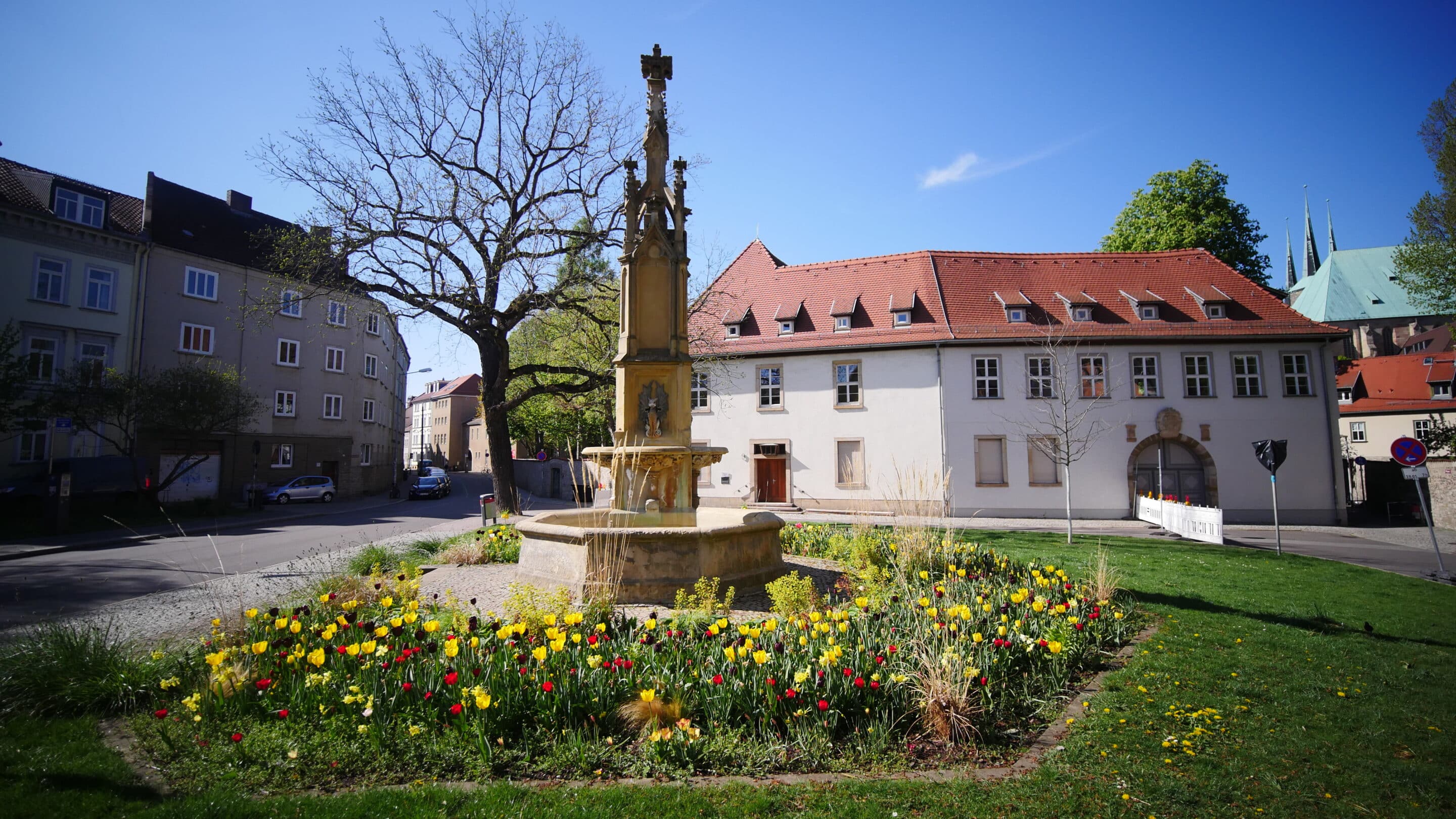 Der mit Blumen bepflanzten Brunnen am Hermannsplatz in Erfurt.