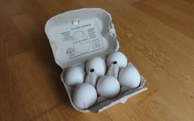 Zeugenaufruf nach Eierwurf