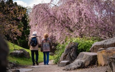 egapark im Frühling