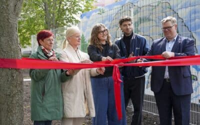 Betreuter Taubenschlag soll Population eindämmen