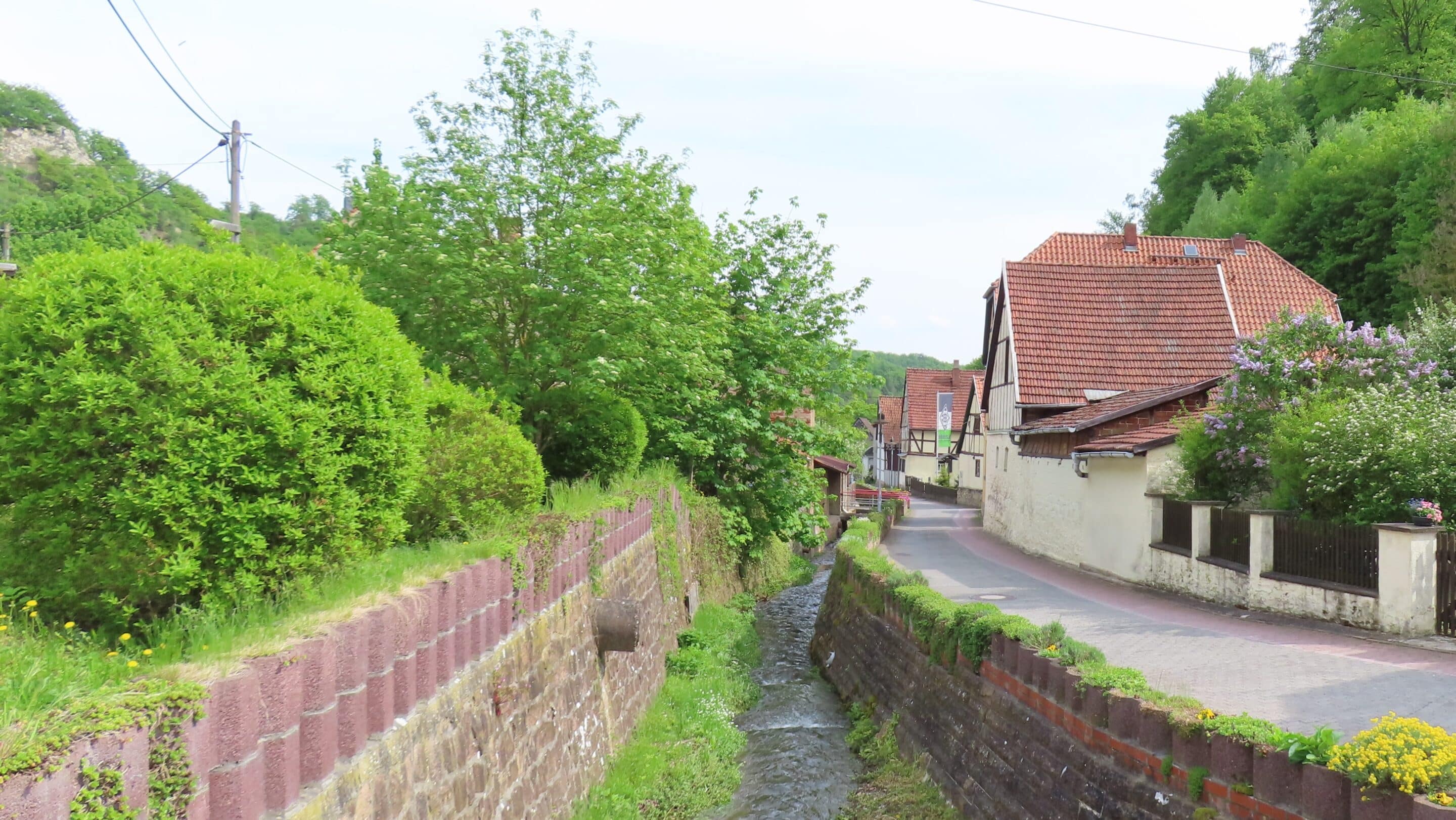 Der Bach Nasse im Unterharz fliesst durch Questenberg einem Ortsteil der Gemeinde Südharz in Sachsen Anhalt.
