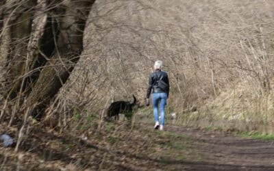 Zeugenaufruf nach Raubdelikt am Flutgraben