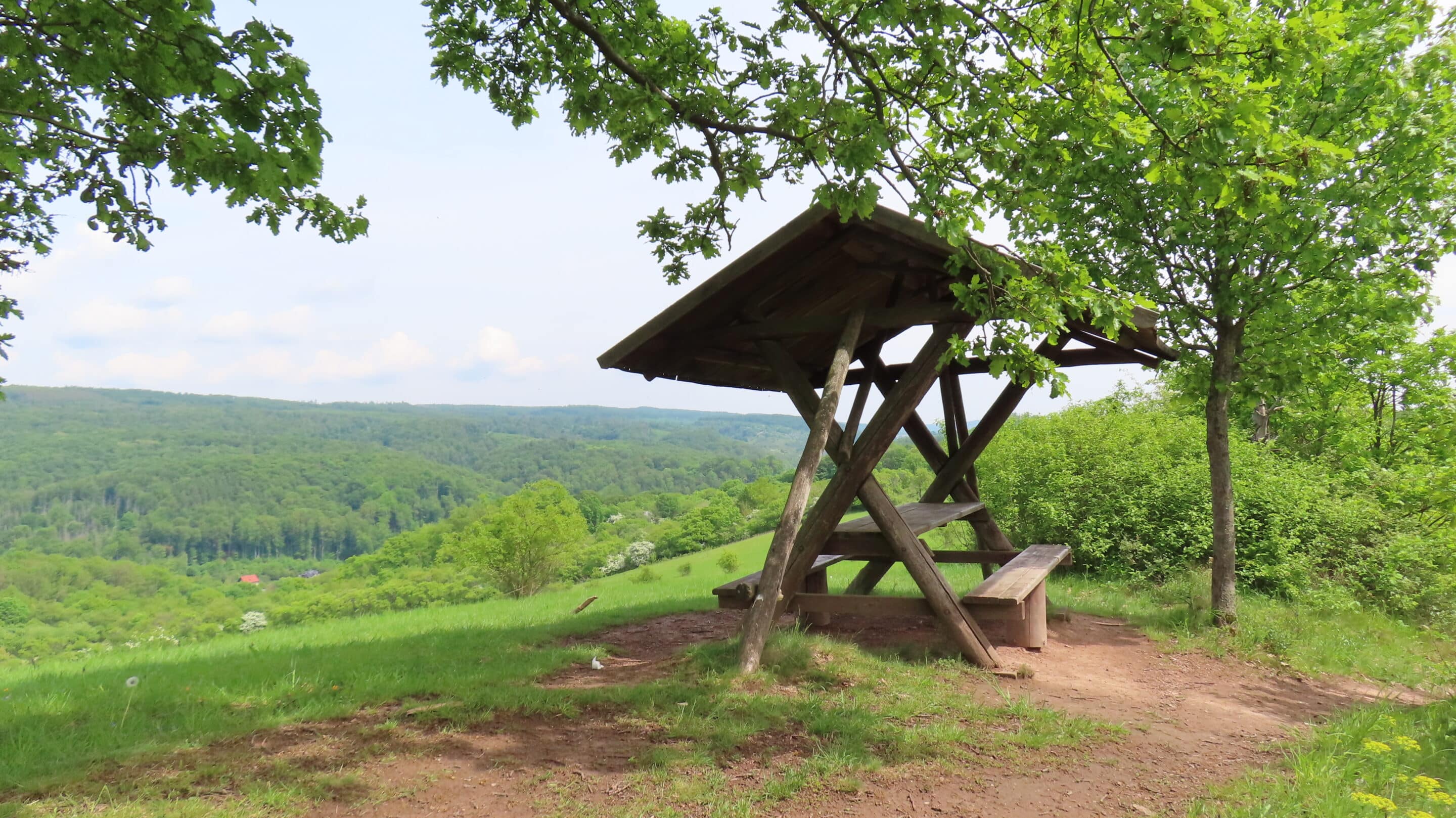 Eine Sitzraufe an einem Rastplatz im Südharz auf dem Karstwanderweg bei Questenberg.