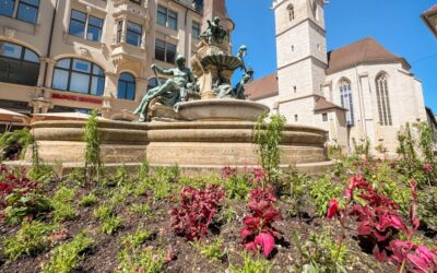 Sommerbepflanzung der Wechselflorbeete gestartet