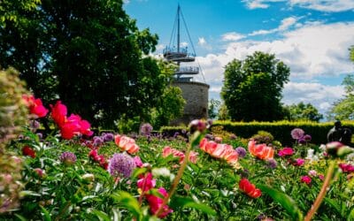 Das lange Pfingstwochenende im egapark