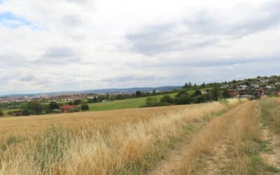 Zeugenaufruf nach Flächenbrand durch Feuerwerkskörper