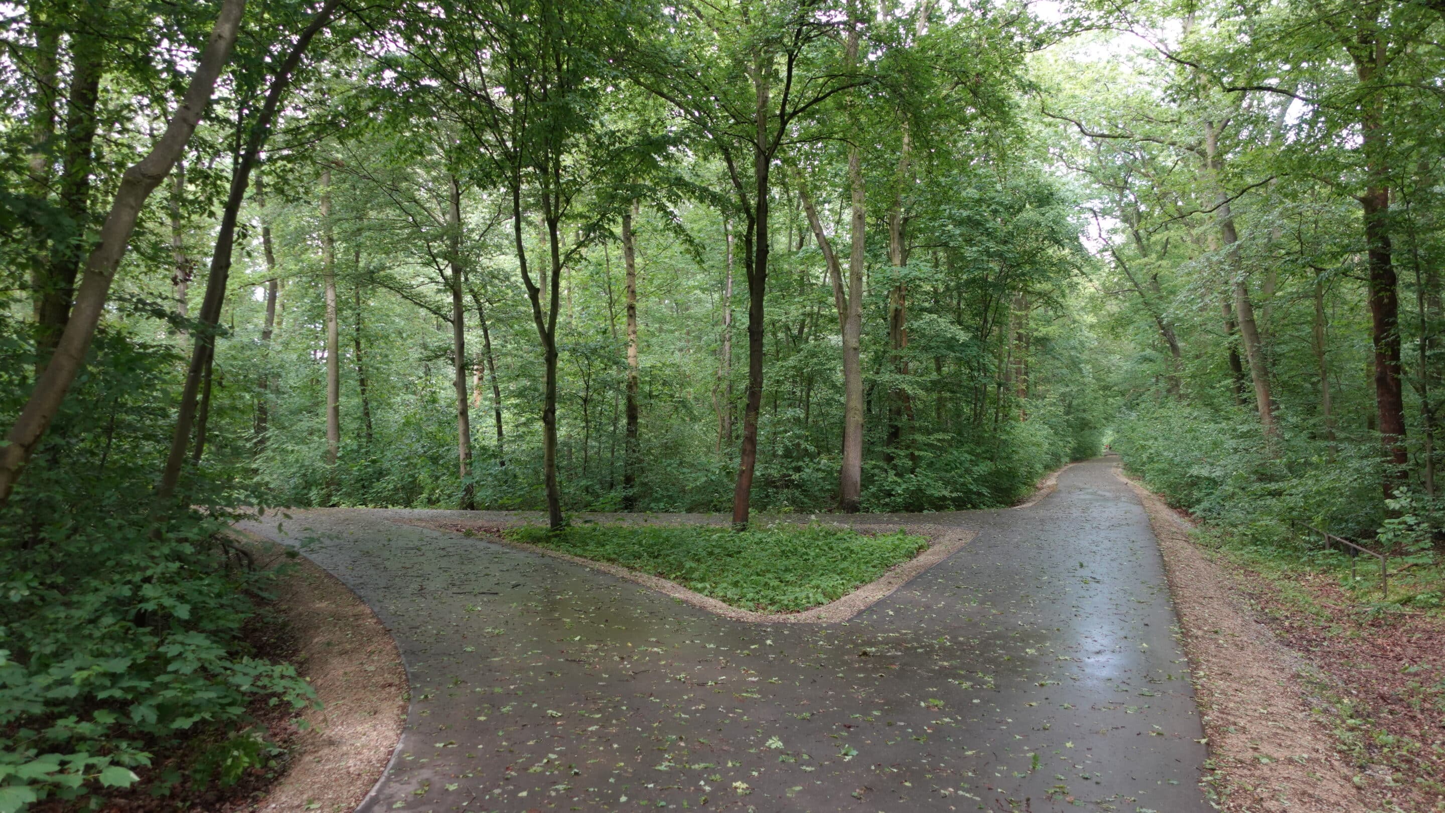 Die Hartwig Gauder Schleife im Steiger dem Stadtwald von Erfurt.