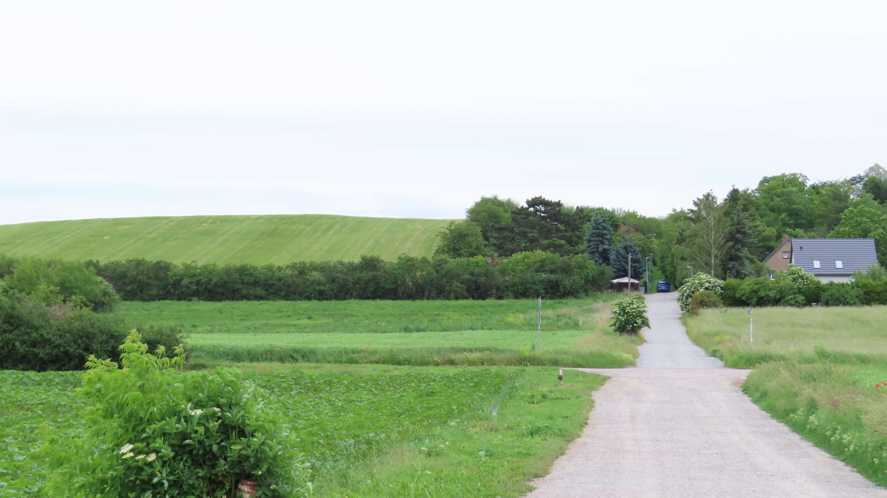 Der Weg zum Galgenberg in Erfurt.