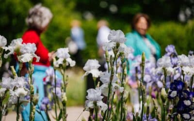 Blütenfülle und Veranstaltungshöhepunkte des Wochenendes im egapark