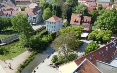 Diebe nutzen hilflose Lage aus