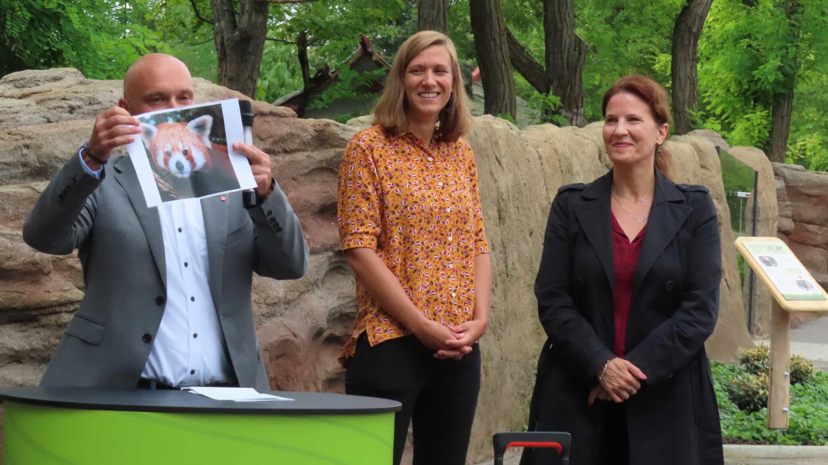 Lilli im Thüringer Zoopark Erfurt 1 Lilli im Thüringer Zoopark Erfurt Andreas Horn mit Dr. Julia Koegler Tina Risch bei der Eroeffnung Roter Panda Erfurt scaled_erfurt
