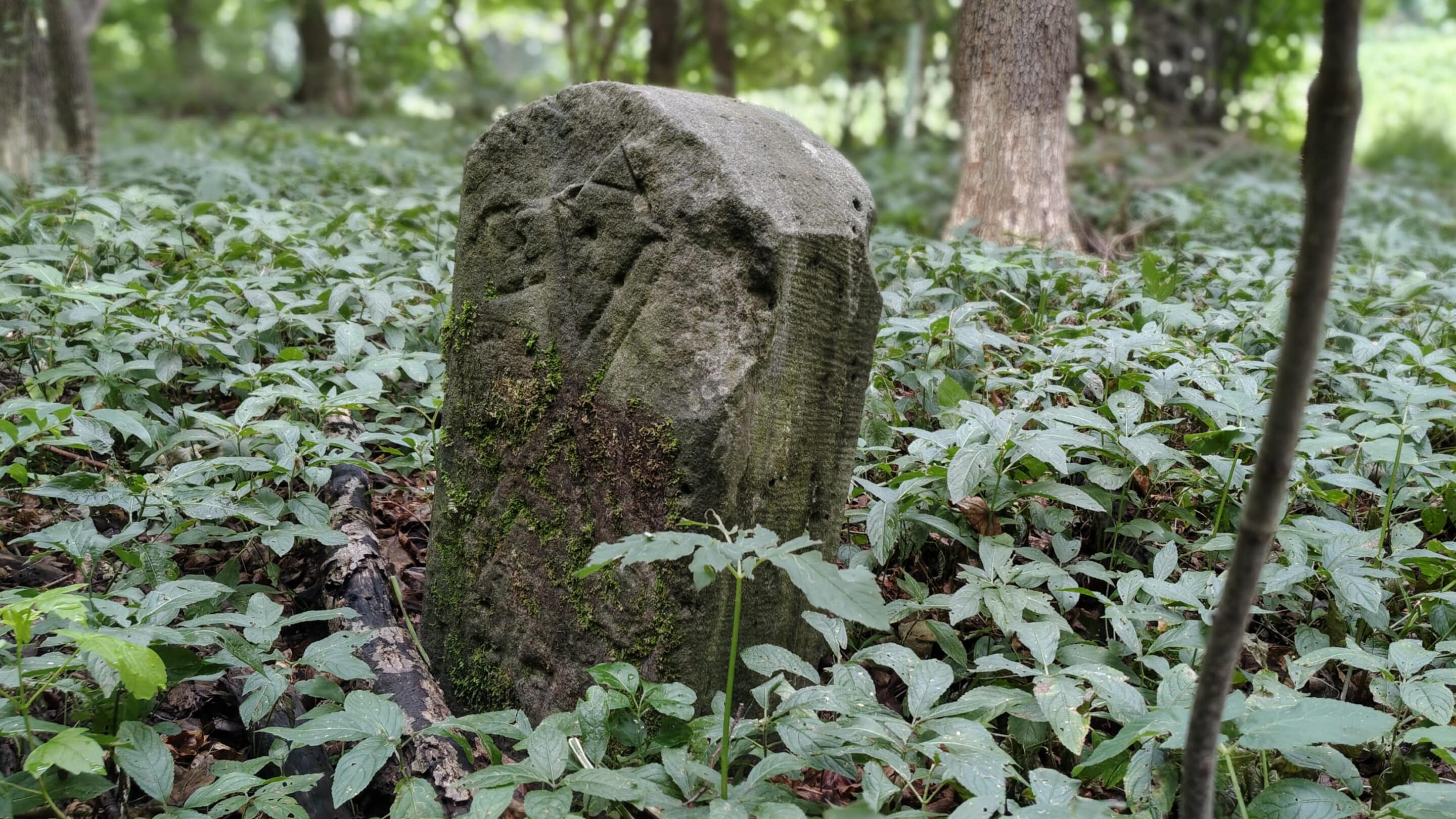 Ein Grenzstein im Peterholz am Südöstlichen Rand von Erfurt im Bundesland Thüringen.