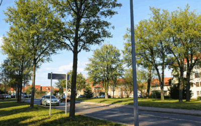 Mopeddieb verursacht Unfall