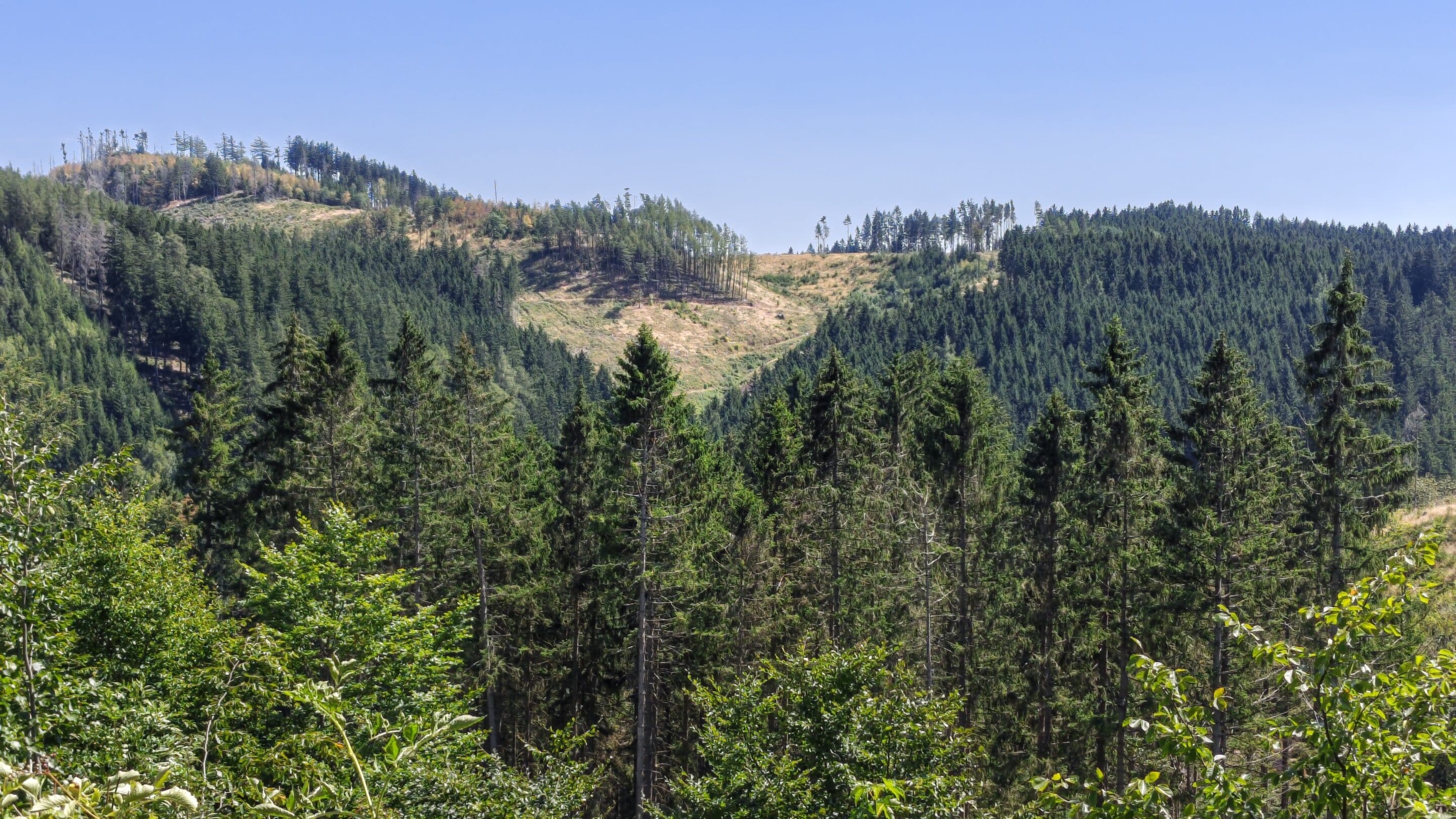Friedrichroda – Vor der Kulisse des Thüringer Walds 1 Friedrichroda – Vor der Kulisse des Thüringer Walds Ausblick auf den Thueringer Wald bei Friedrichroda scaled_erfurt