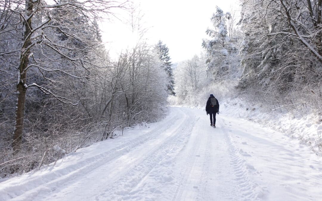 Winterausflug in die Reinsberge
