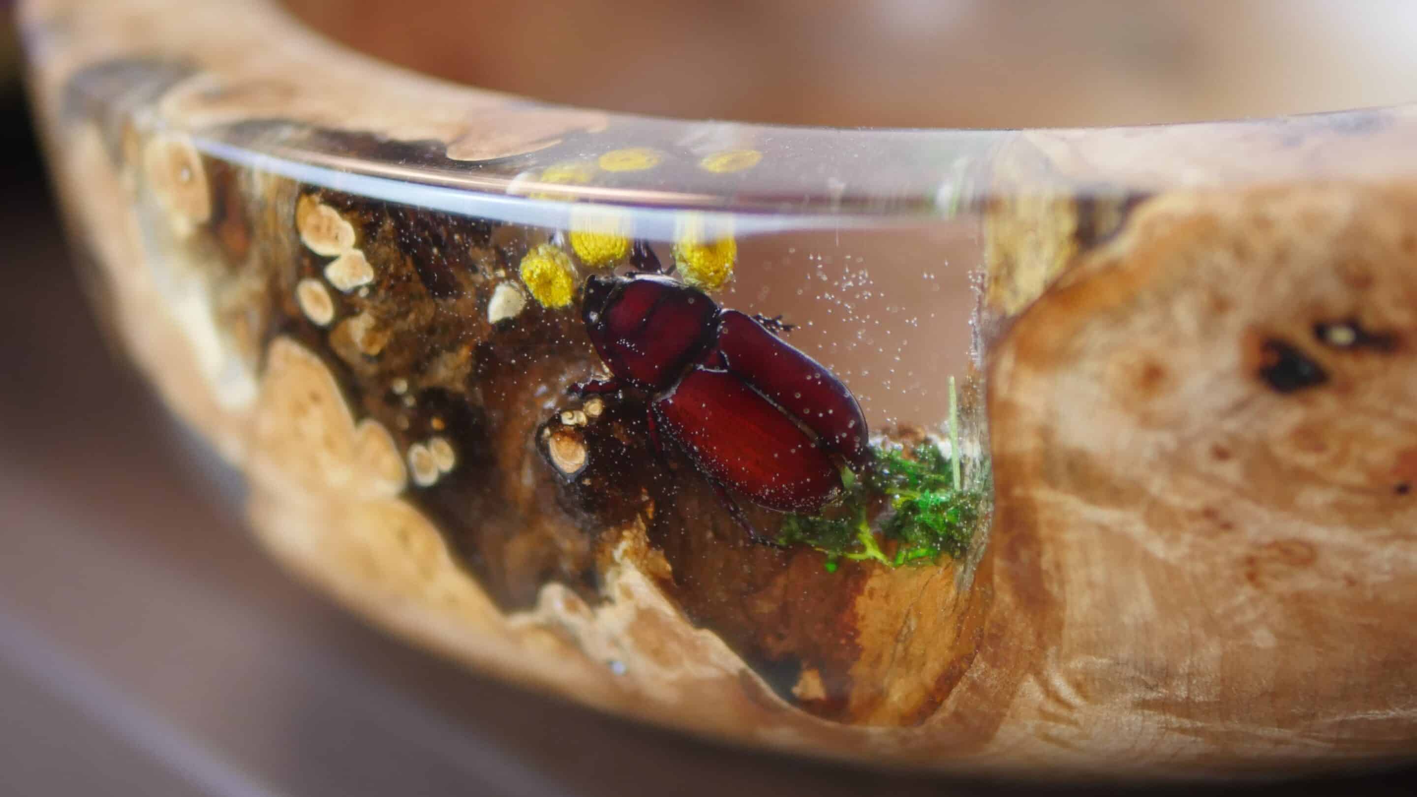 Eine gedrechselte Schale des Erfurter Künstlers Benjamin Stuht im Detail.