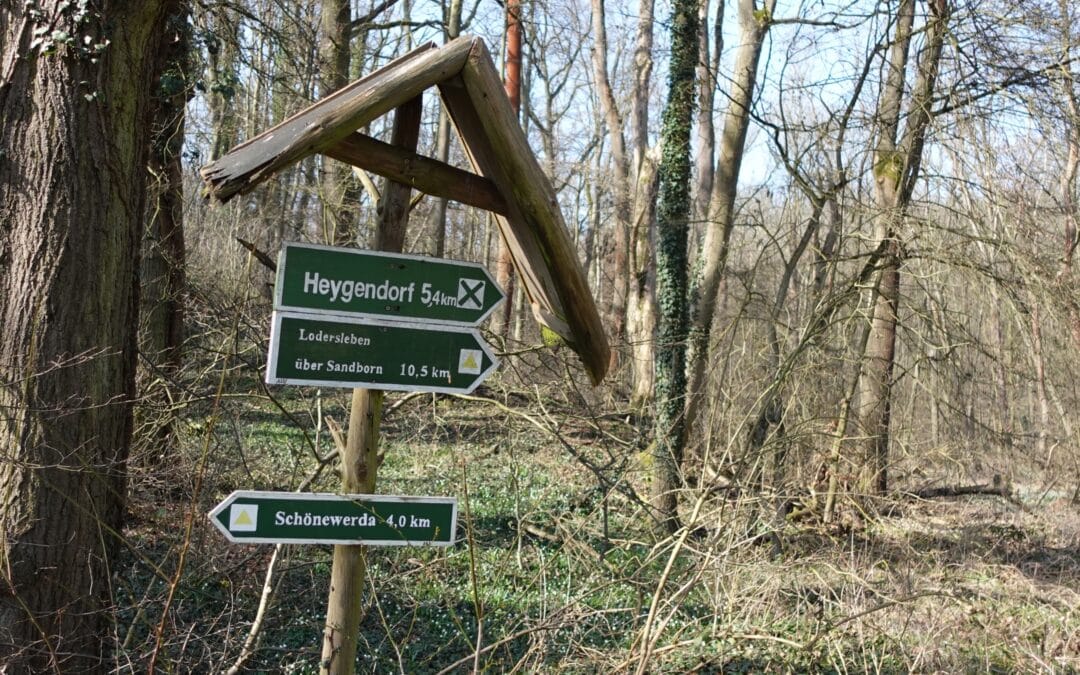 Das Märzenbechertal bei Heygendorf