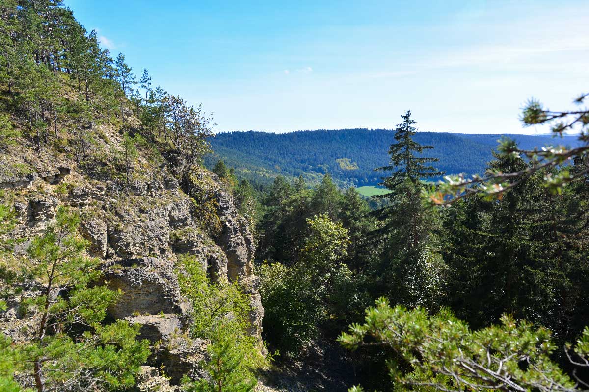 Nicht ohne Vorischt sollte man sich an der Abbruchkante der Kalkfelsen der Reinsberge bewegen