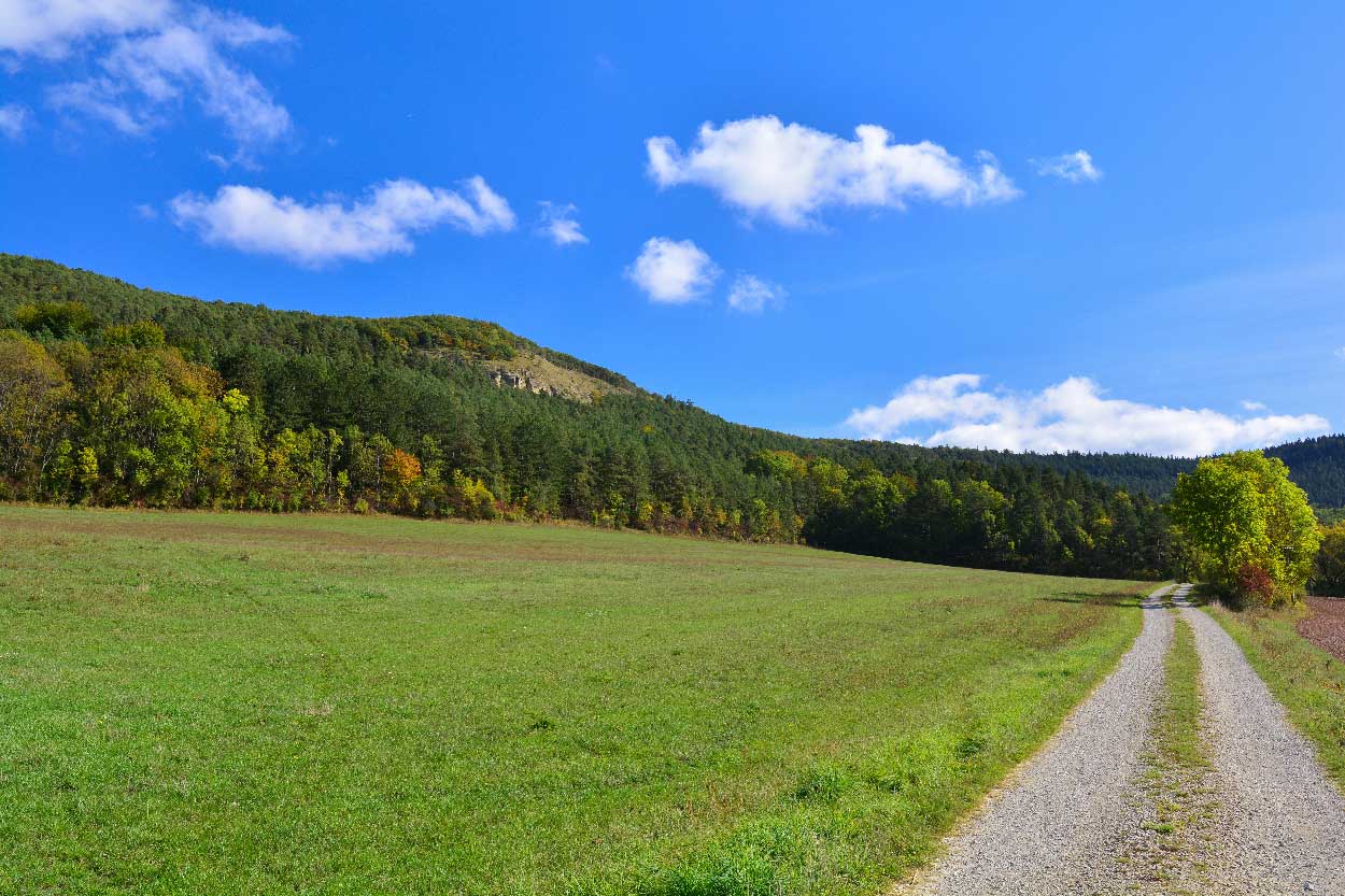 reinsberge ziegenried_erfurt