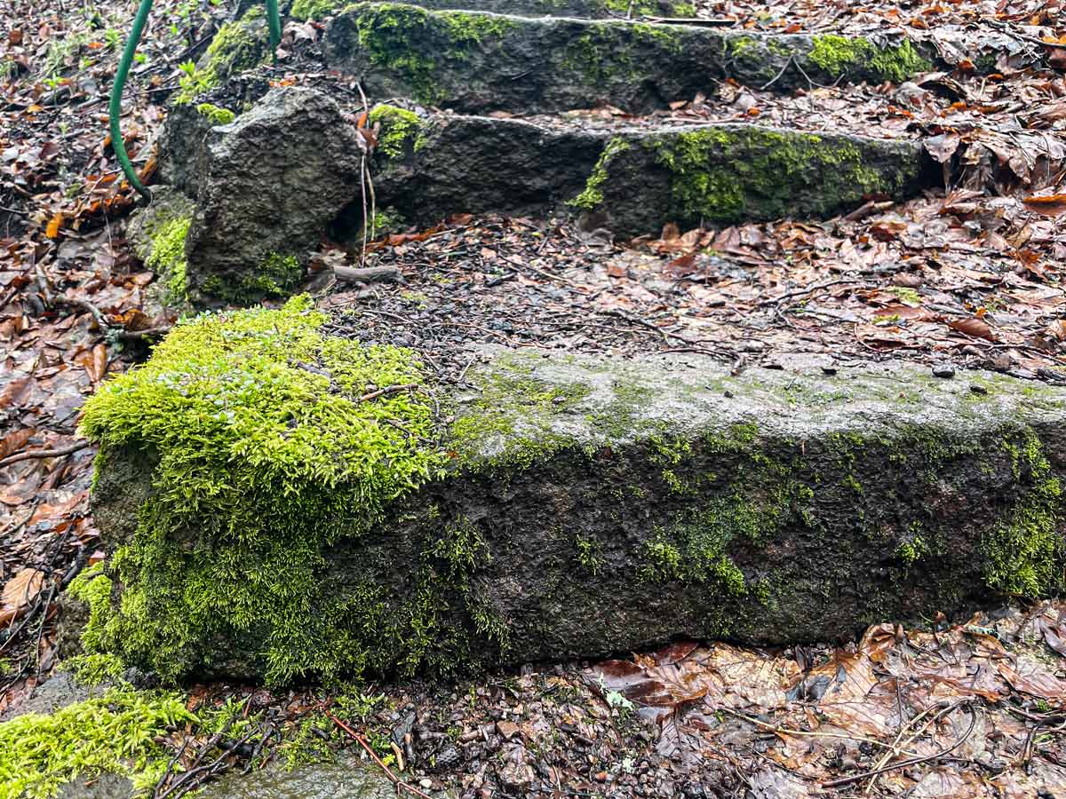 schauenburg friedrichroda stufen_erfurt