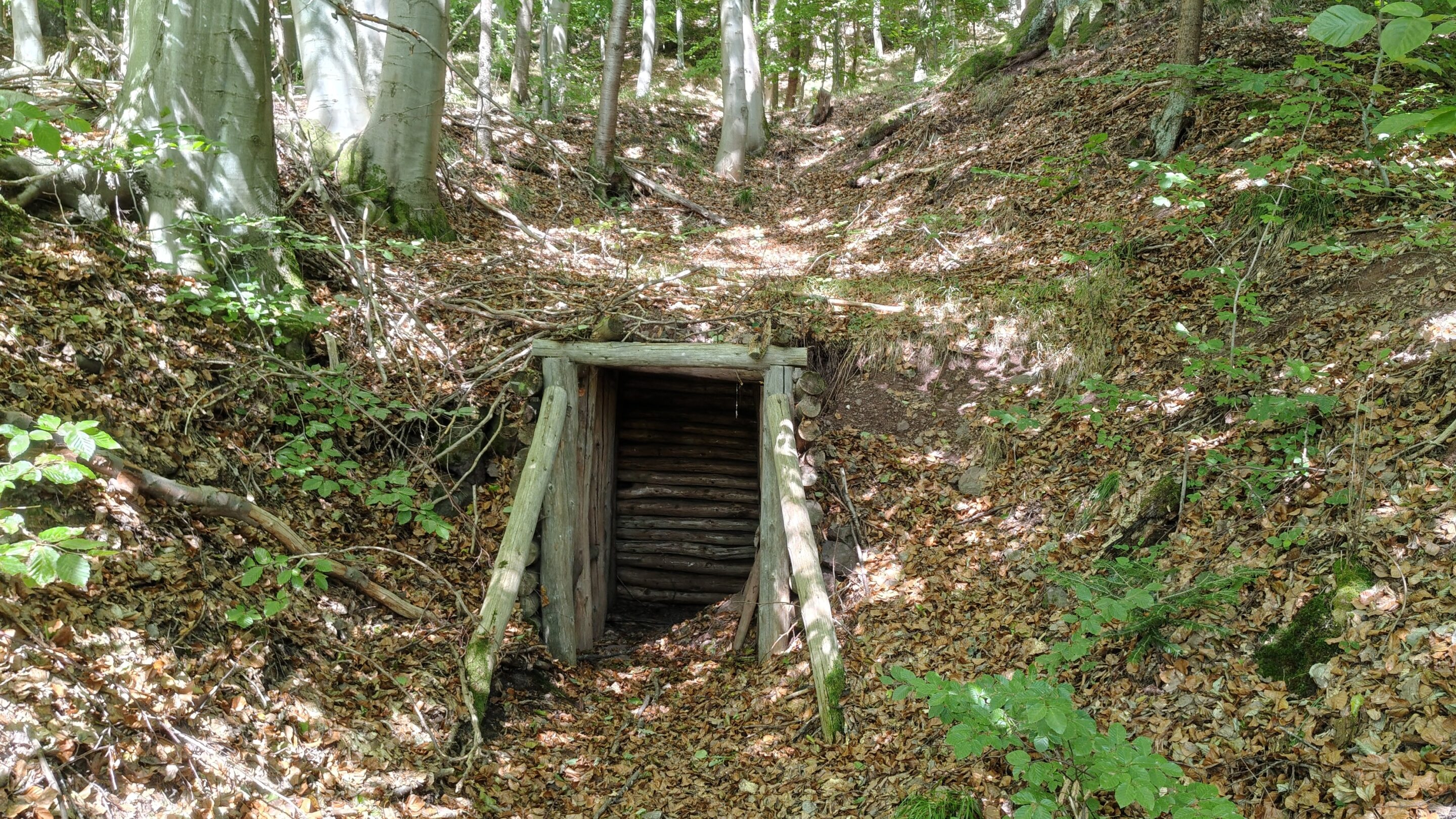 Ein Nachgebauter Stolleneingang am Bergbaupfad Domberg in der ehemaligen Bezirkshauptstadt der DDR Suhl in Thüringen.