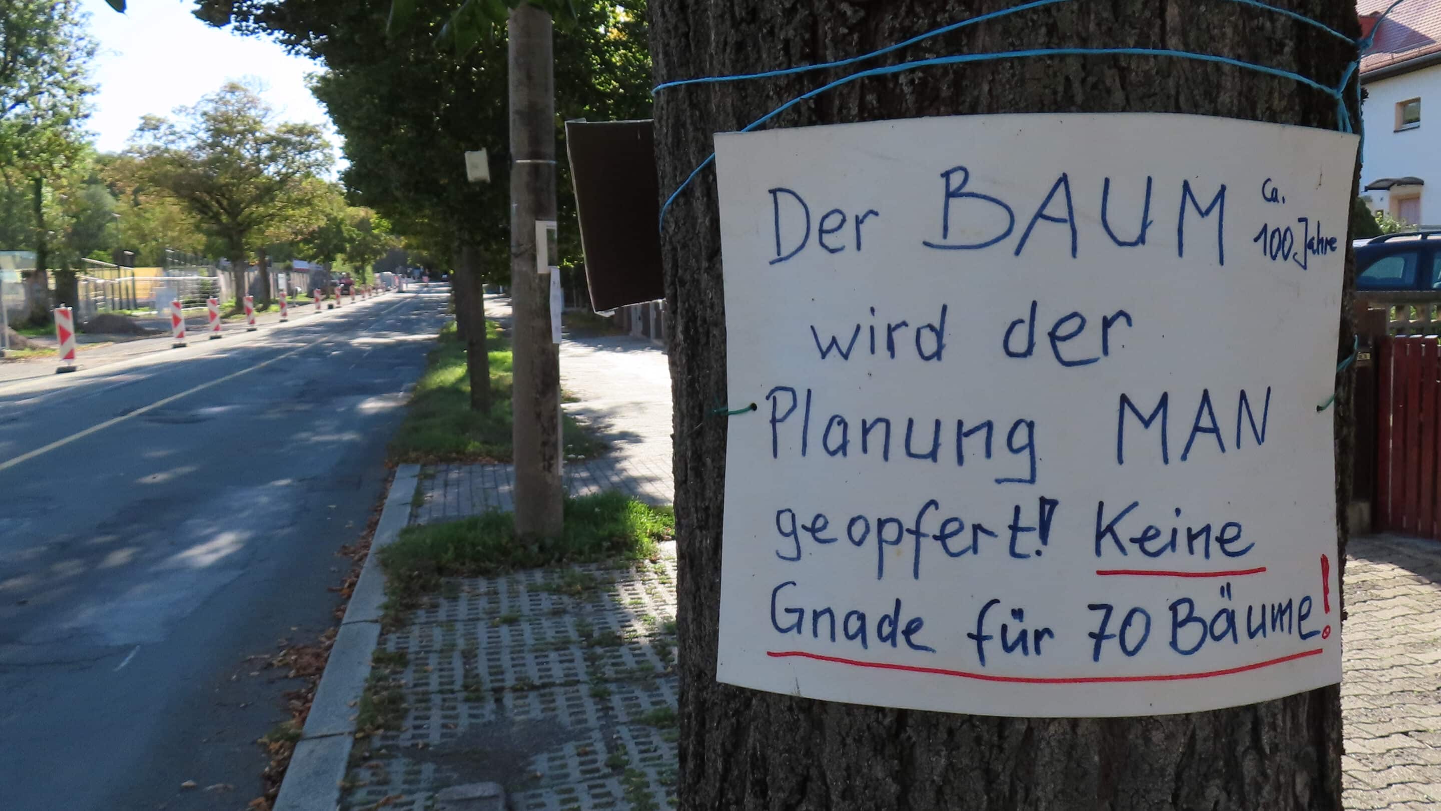 Südeinfahrt Erfurt 1 Südeinfahrt Erfurt Schild an einem Baum in der Martin Anderson Nexoe Strasse Erfurt Kritik an Faellung scaled_erfurt