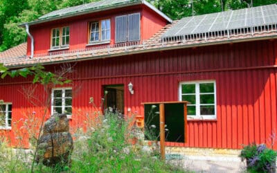 Fuchsfarm feiert Naturfestival im Grünen