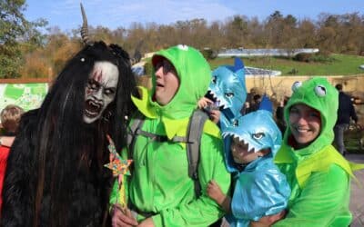 Das ist im Zoopark los