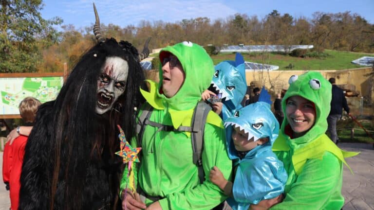 Das ist im Zoopark los