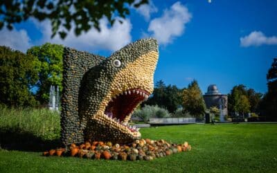 Egapark magisch: Eintauchen in die Welt der Fantasie