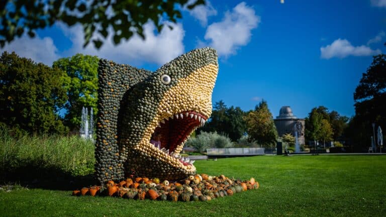 Egapark magisch: Eintauchen in die Welt der Fantasie