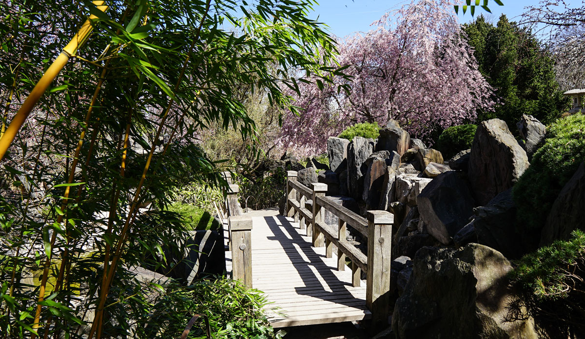 bruecke-im-japanischen-garten-ega-erfurt